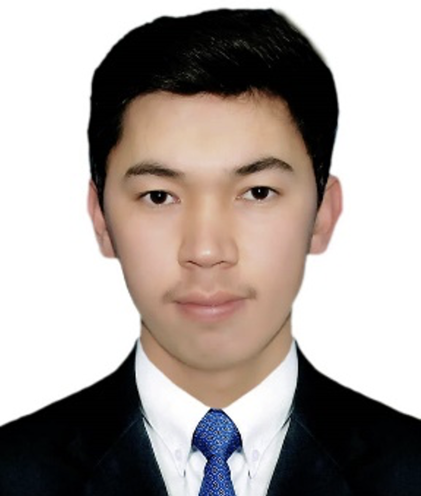 Mohammad Mahdi Faizullahi